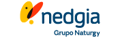 NEDGIA logo projet