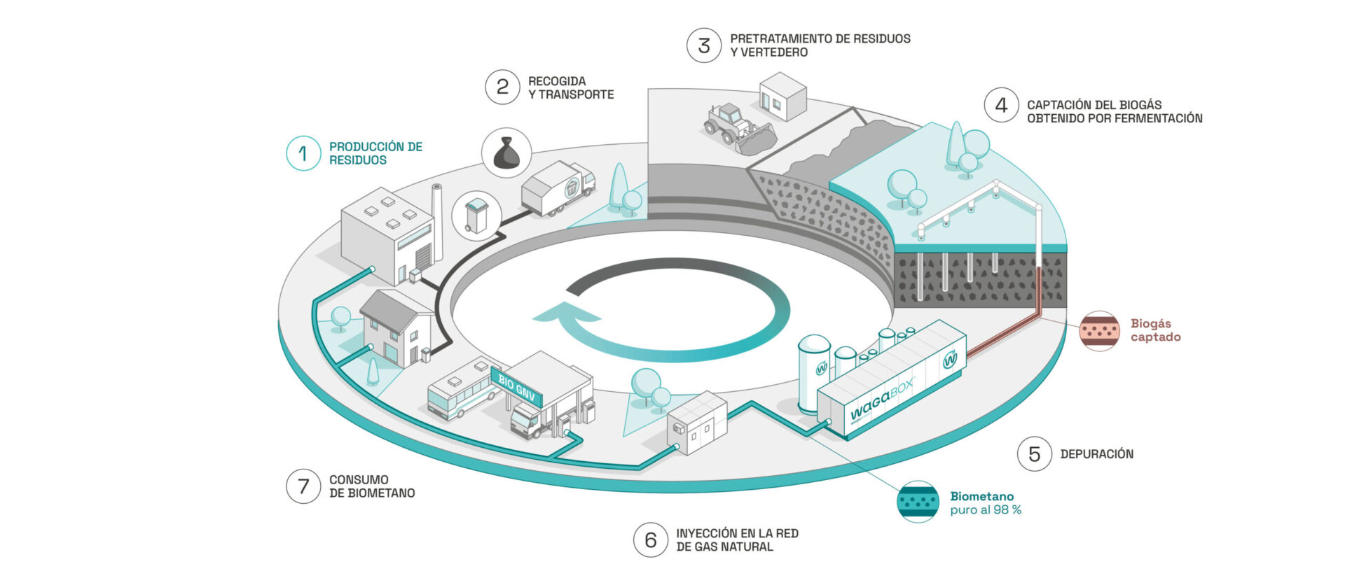 Diagrama que muestra el lugar de Waga Energy y el WAGABOX en la economía circular. Etapa 1: Producción de residuos por los particulares y la industria. Etapa 2: Recogida y transporte de estos residuos. Etapa 3: Enterramiento de los residuos en una instalación de almacenamiento de residuos no peligrosos (ISDND). Etapa 4: Captación del biogás producido por fermentación de los residuos enterrados. Etapa 5: Depuración del biogás. Etapa 6: Inyección de biometano con una pureza del 98% en la red de gas natural. Etapa 7: Consumo de biometano por los clientes residenciales e industriales.