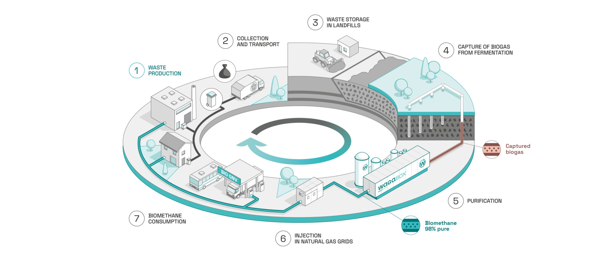 Illustration showing the place of Waga Energy and the WAGABOX in the circular economy. Step 1: Production of waste by individuals and industry. Step 2: Collection and transportation of this waste. Step 3: Burial of waste in a non-hazardous waste storage facility (ISDND). Step 4: Capture of the biogas produced by fermentation of the landfilled waste. Step 5: Biogas purification. Step 6: Injection of 98%-pure biomethane into the natural gas network. Step 7: Consumption of biomethane by residential and industrial customers.