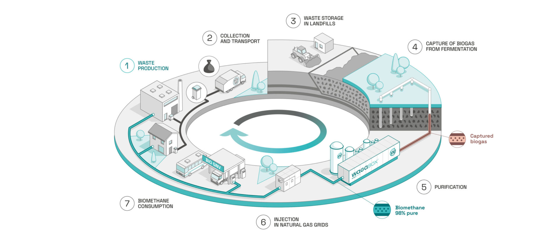 Illustration showing the place of Waga Energy and the WAGABOX in the circular economy. Step 1: Waste production individuals and industry. Step 2: Collection and transport of the wastes. Step 3: Waste storage in landfills. Step 4: Capture of the biogas produced by fermentation of the landfilled wastes. Step 5: Biogas purification. Step 6: Injection of a 98%-pure biomethane into the gas distribution pipeline. Step 7: Consumption of the renewable natural gas by individuals and industrial customers.