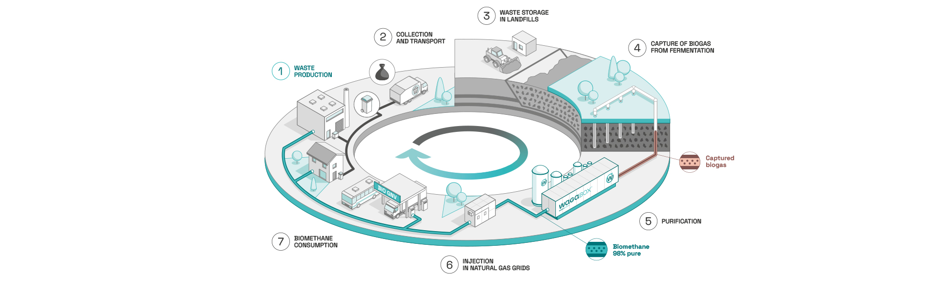 Illustration showing the place of Waga Energy and the WAGABOX in the circular economy. Step 1: Waste production individuals and industry. Step 2: Collection and transport of the wastes. Step 3: Waste storage in landfills. Step 4: Capture of the biogas produced by fermentation of the landfilled wastes. Step 5: Biogas purification. Step 6: Injection of a 98%-pure biomethane into the gas distribution pipeline. Step 7: Consumption of the renewable natural gas by individuals and industrial customers.