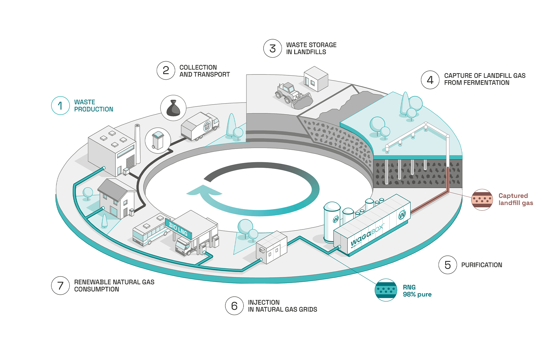 Illustration showing the place of Waga Energy and the WAGABOX in the circular economy. Step 1: Waste production individuals and industry. Step 2: Collection and transport of the wastes. Step 3: Waste storage in landfills. Step 4: Capture of the biogas produced by fermentation of the landfilled wastes. Step 5: Biogas purification. Step 6: Injection of a 98%-pure biomethane into the gas distribution pipeline. Step 7: Consumption of the renewable natural gas by individuals and industrial customers.