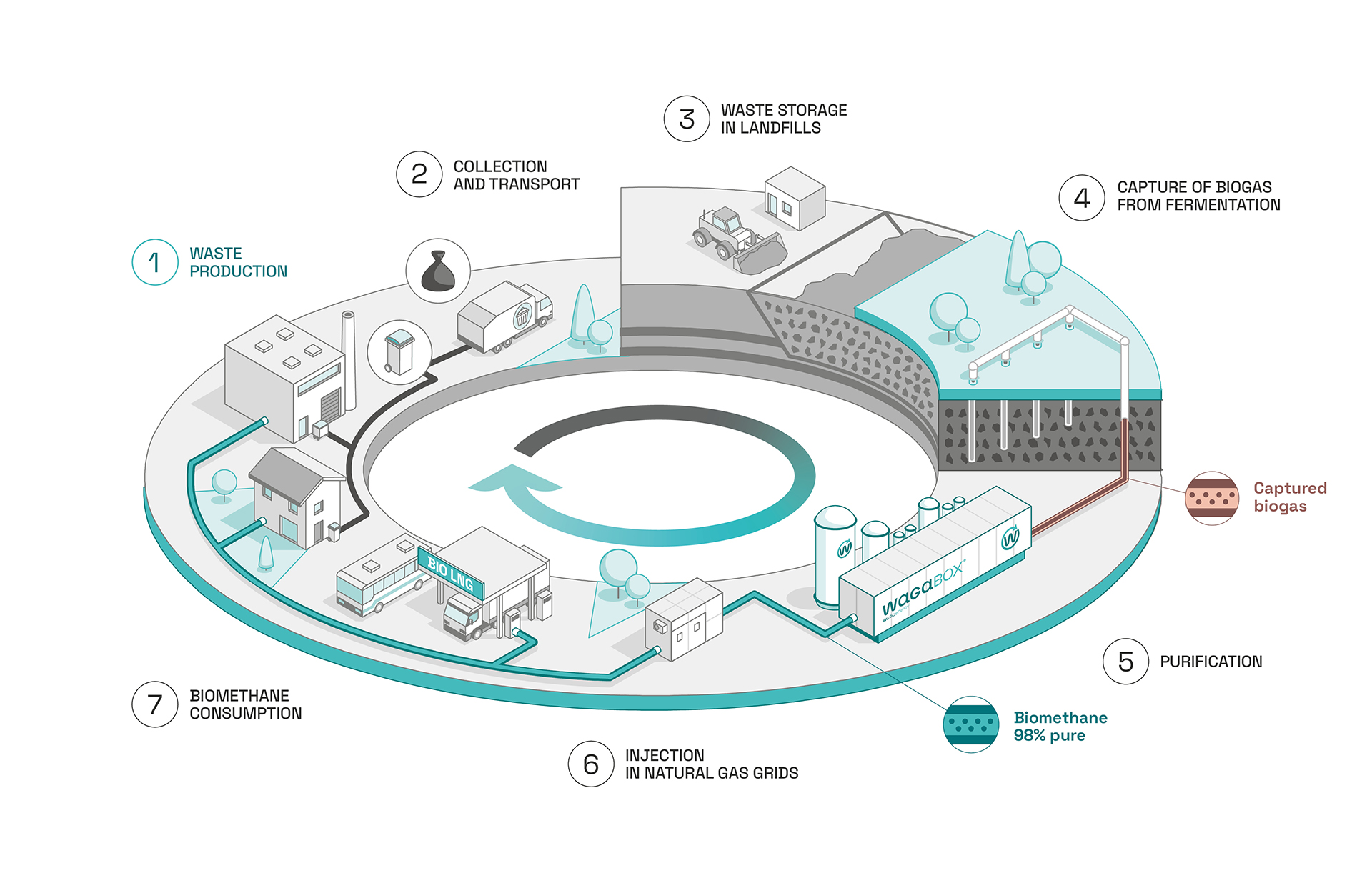 Illustration showing the place of Waga Energy and the WAGABOX in the circular economy. Step 1: Production of waste by individuals and industry. Step 2: Collection and transportation of this waste. Step 3: Burial of waste in a non-hazardous waste storage facility (ISDND). Step 4: Capture of the biogas produced by fermentation of the landfilled waste. Step 5: Biogas purification. Step 6: Injection of 98%-pure biomethane into the natural gas network. Step 7: Consumption of biomethane by residential and industrial customers.