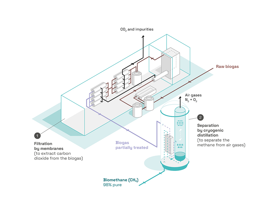 Explanatory illustration of the WAGABOX technology. Raw biogas is treated by membrane filtration to separate carbon dioxide from methane. Impurities and CO2 present in the gas are expelled from the circuit. The partially treated biogas then passes through the cryogenic separation module, which separates the methane from the air gases using nitrogen. The air gases are expelled from the circuit. The 98%-pure biomethane is then injected into the gas distribution network.