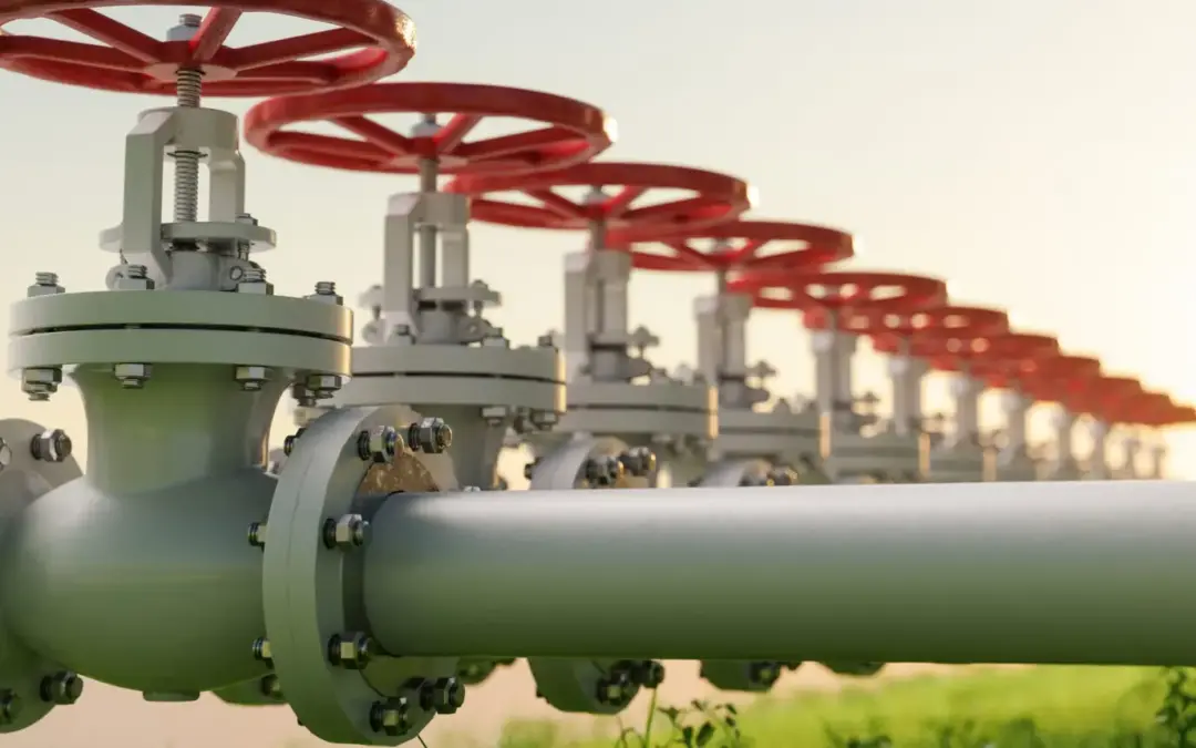 RNG: a pillar of the energy transition